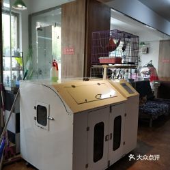 大連寵物電子寵物新體驗(yàn) 聯(lián)系方式、價(jià)格與營(yíng)業(yè)時(shí)間全指南